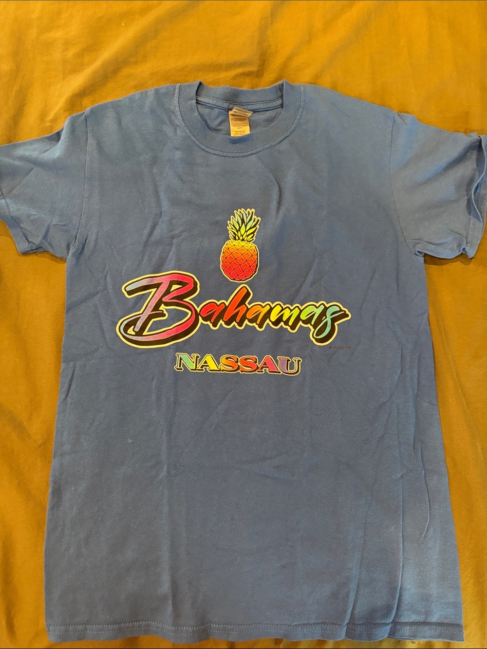 Gildan Blue Short-Sleeve Tee with Multicolor Pineapple & Bahamas Nassau Script